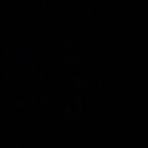 Meet your Posher, Blanca